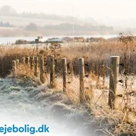 Haderslev: Den charmerende by ved fjorden